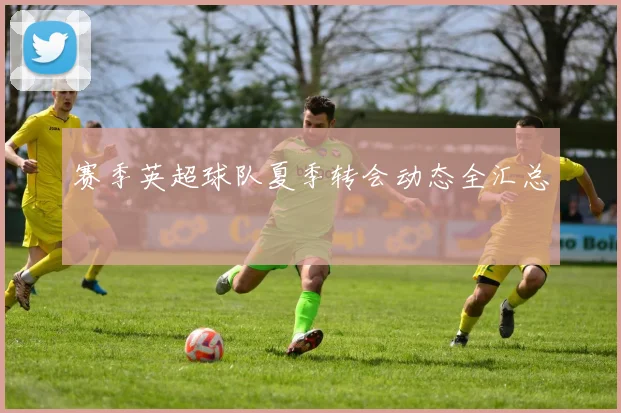赛季英超球队夏季转会动态全汇总