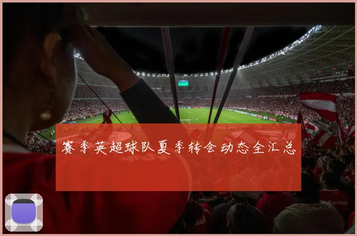 赛季英超球队夏季转会动态全汇总