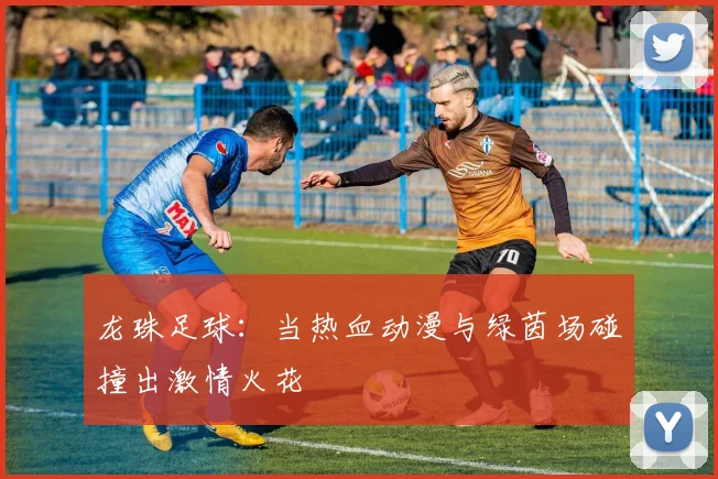 龙珠足球：当热血动漫与绿茵场碰撞出激情火花